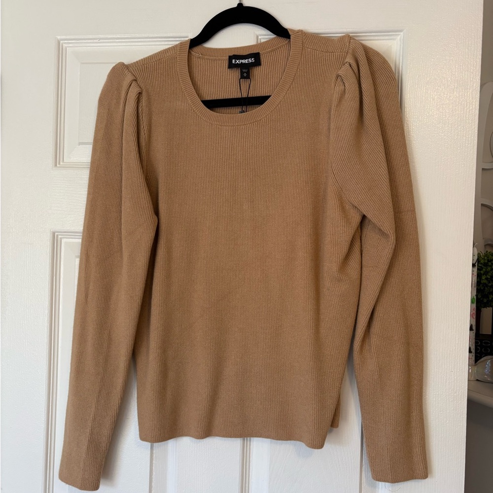 Express light brown sweater